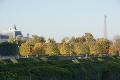 DSC08655