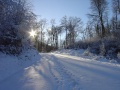 DSC03720_Route_Sarp_ColDeMortis